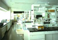 Chemical laboratory (two)